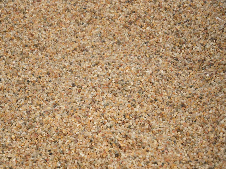 Close up view of natural Samoa coarse sand showing grain size and texture for terrarium use