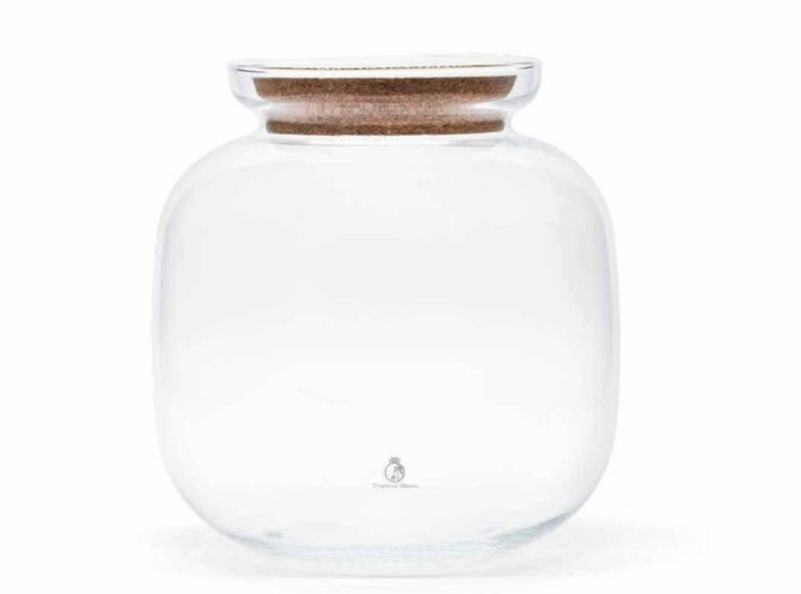 Terrarium Container with Cork Lid | H: 25 cm