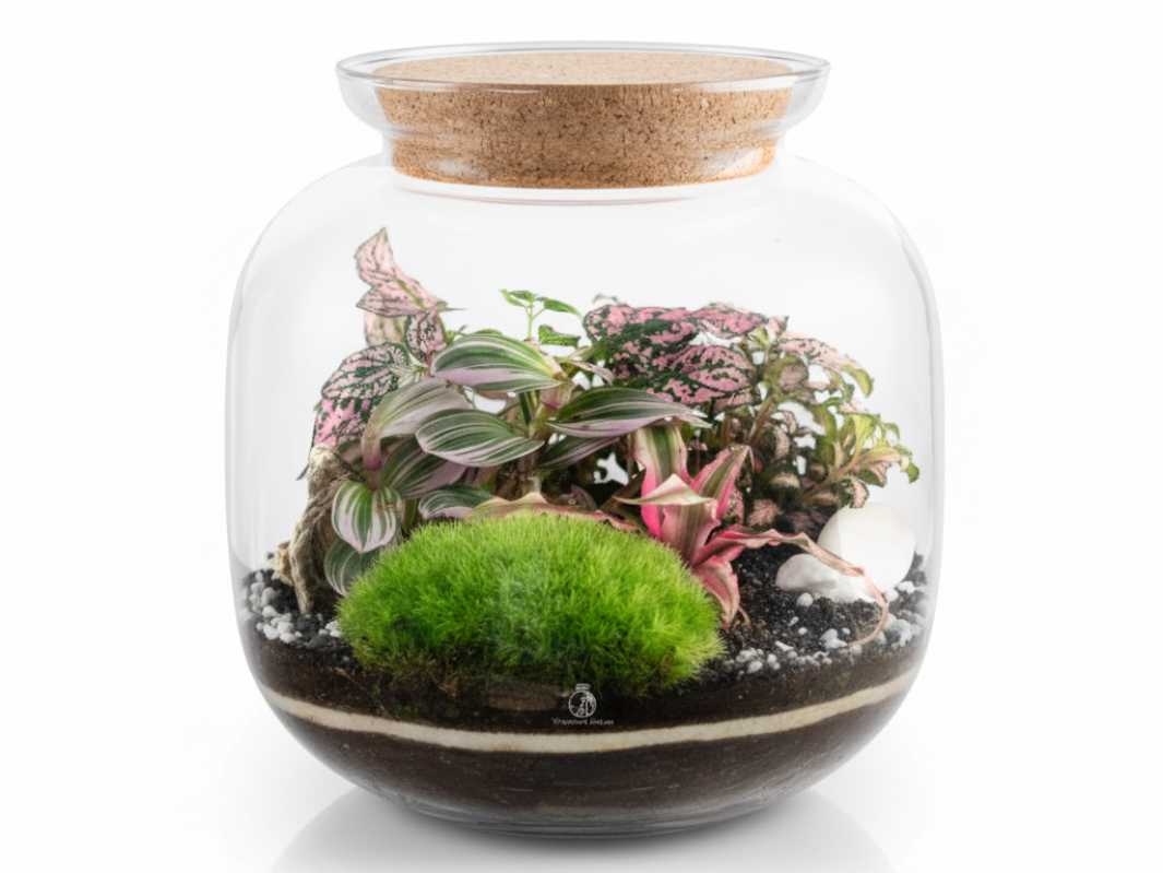 Make your own terrarium set