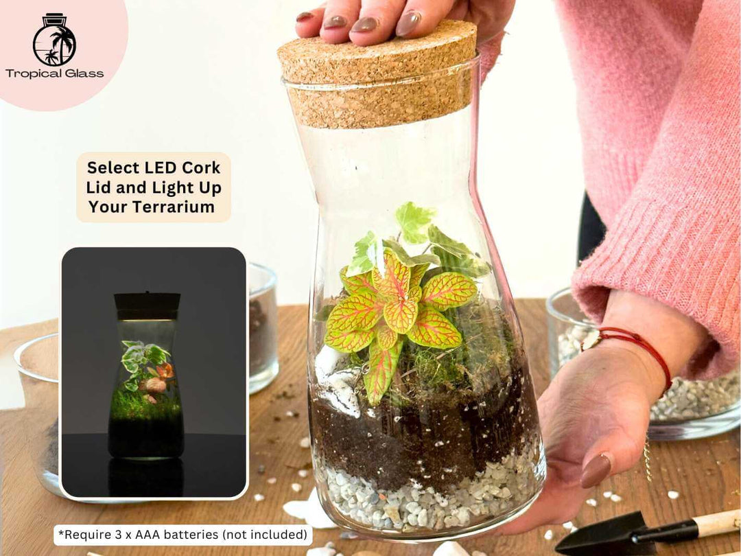 Bottle terrarium with optional LED cork lid