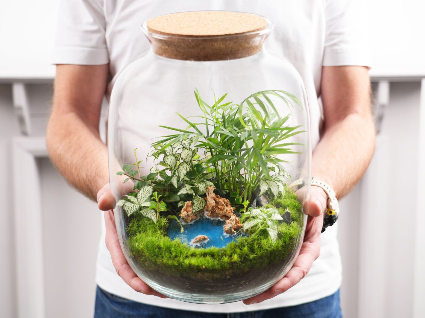 View of a DIY terrarium kit with an Ocean Disk, showing plant arrangement, moss, and decorative elements.