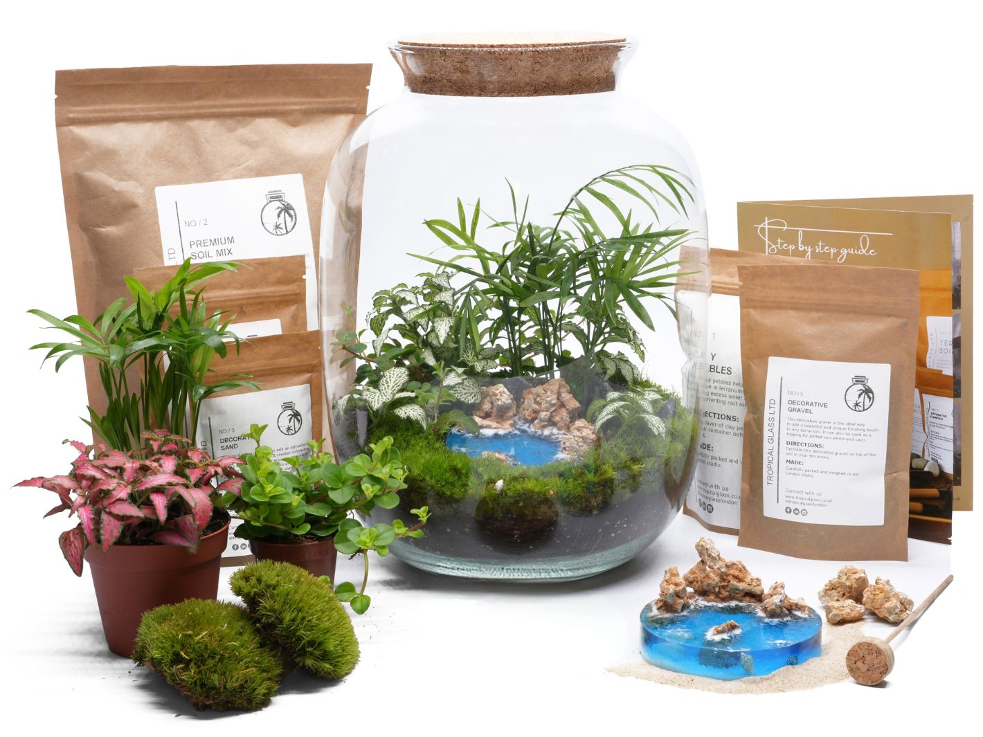 Self-sustaining terrarium kit with an Ocean Disk, ideal for home decor, plant lovers, and DIY enthusiasts.