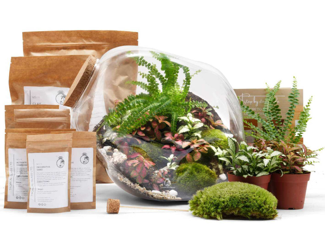 Unique glass terrarium kit for creating a miniature indoor garden