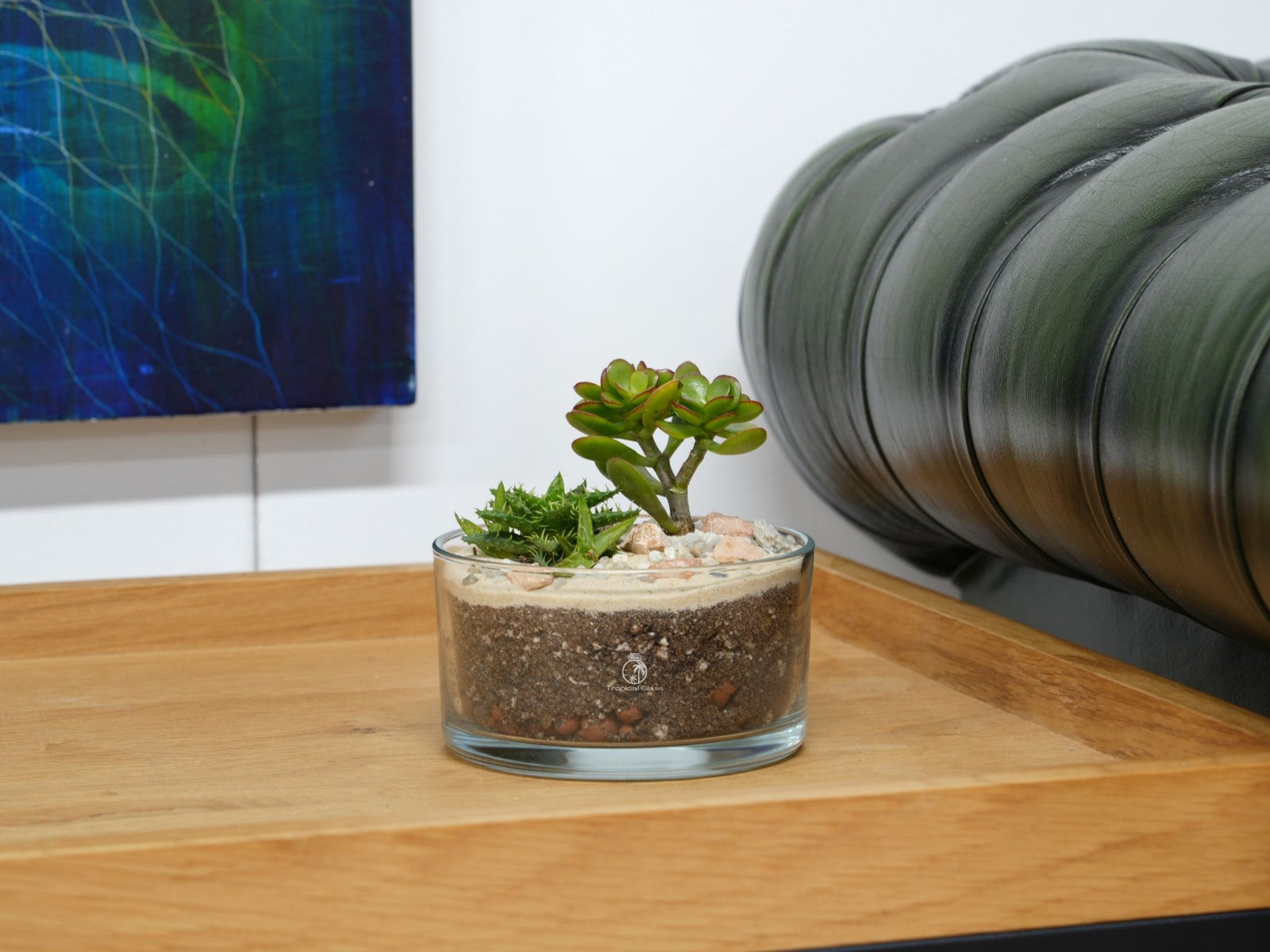 A small open terrarium sits on a wooden tray, featuring a layer of soil topped with decorative stones and two types of green plants, including a succulent and a small leafy plant.
