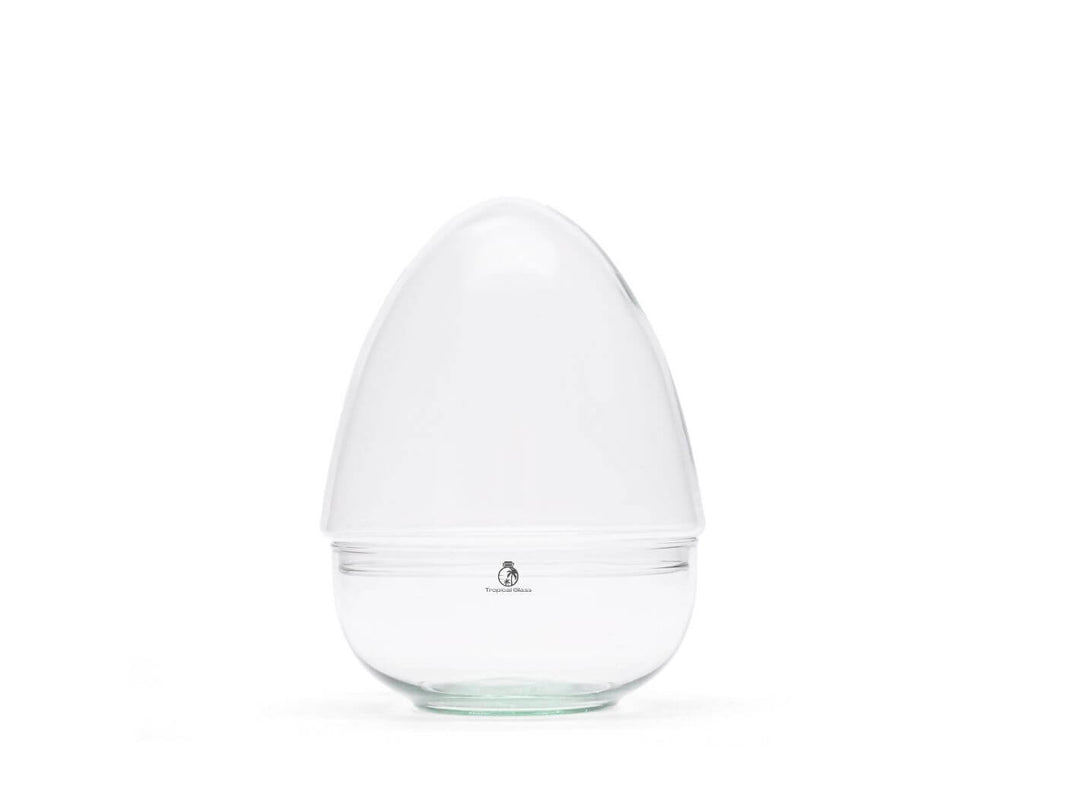 Egg Shaped Glass Container | H: 21 cm