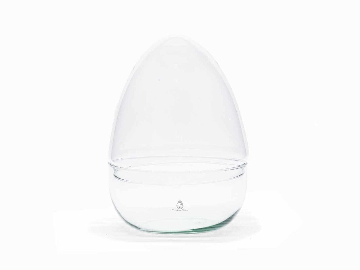 Shape Glass Containers Egg-Shaped Glass Container H:26cm | Handmade UK – Tropical Glass