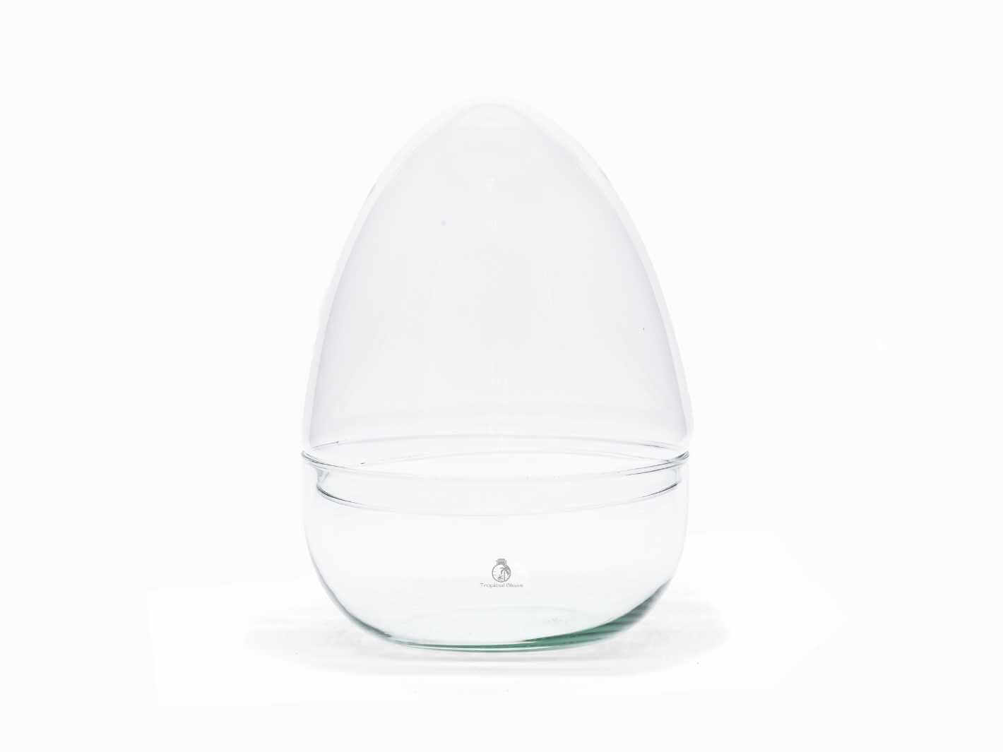 A clear, egg-shaped glass container stands upright, featuring a smooth, transparent design. The container has a rounded base and a tapered top, making it an elegant choice for displaying plants or decorative items.