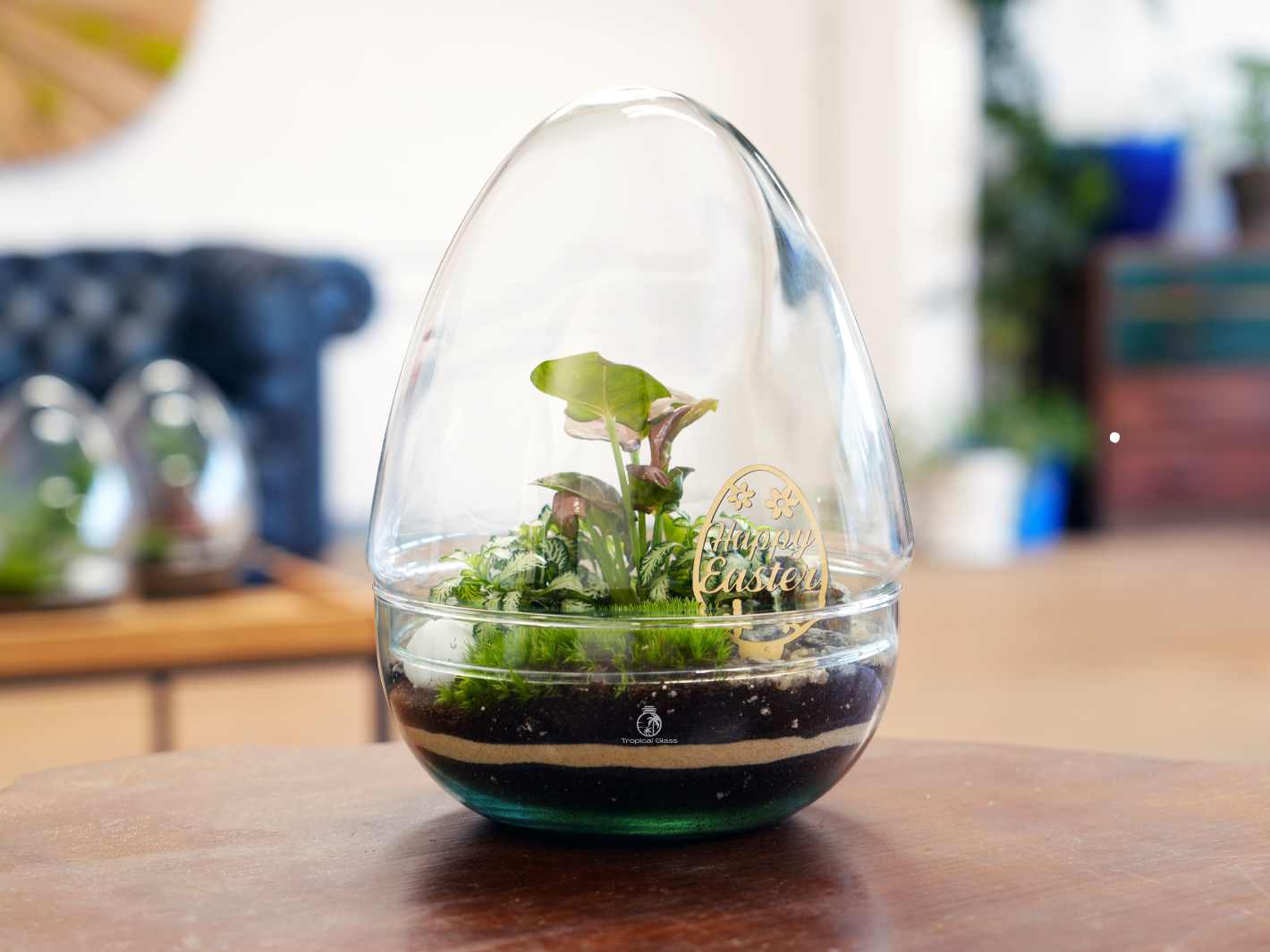 A clear glass terrarium in an egg-shaped design showcases a variety of small plants, including ferns and greenery, situated on a layered soil base.