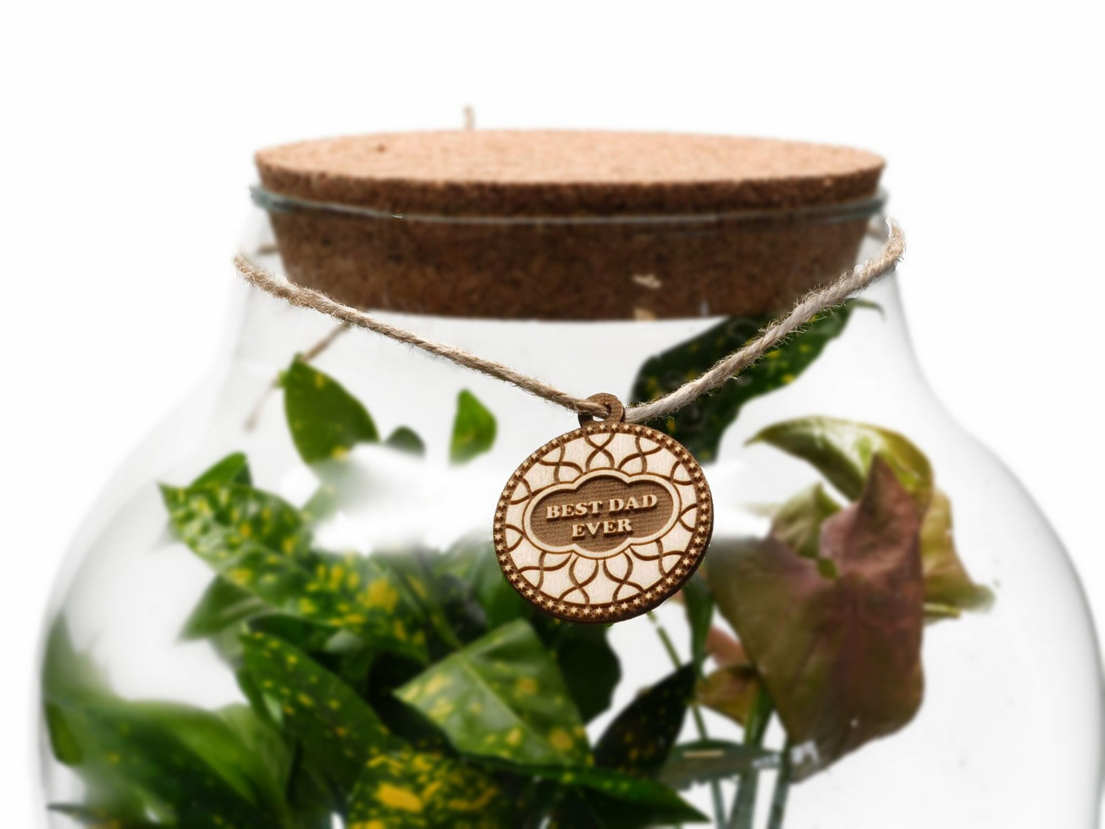 A wooden gift tag engraved with the message Best Dad Ever hangs from a string on a glass terrarium. The terrarium contains various green plants, with a cork lid visible at the top, creating a charming and personal gift display.