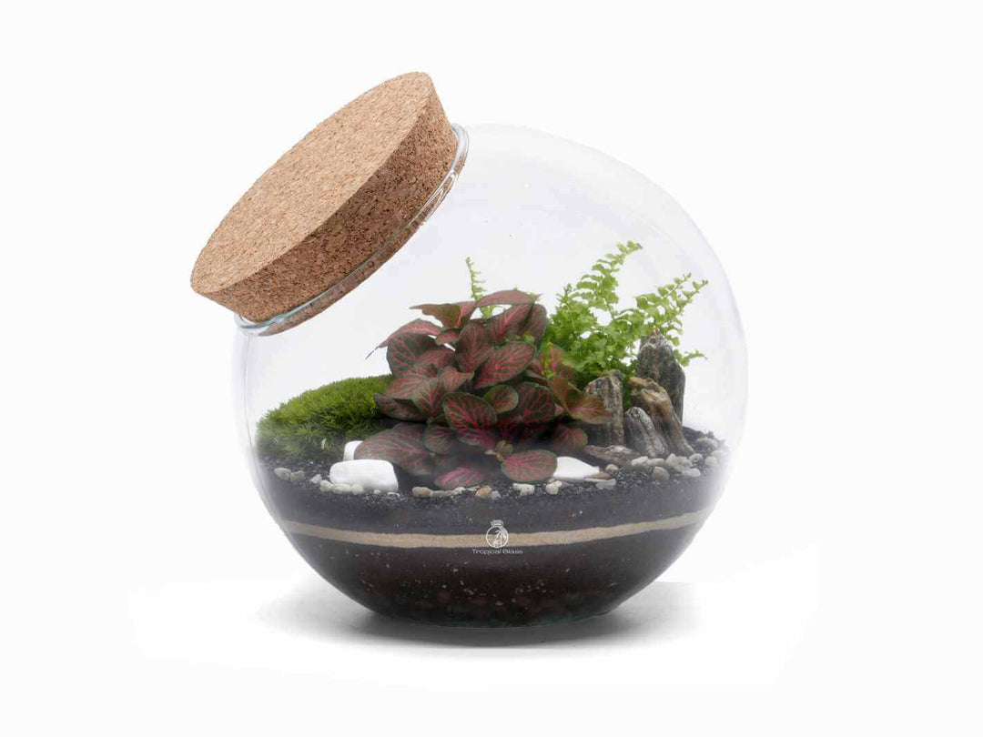 Side Fishbowl DIY Terrarium Kit with Cork Lid H: 19 cm | 'Split'