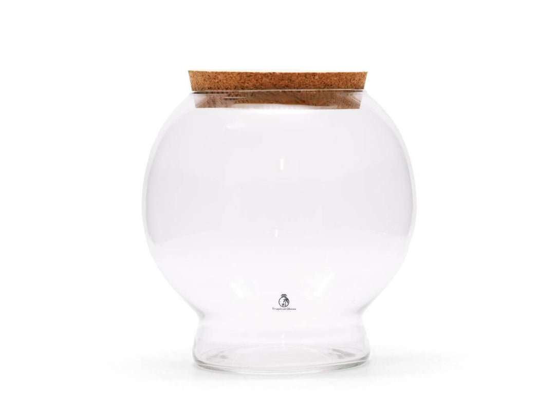 Round Closed Terrarium Glass with Base | H: 23 cm