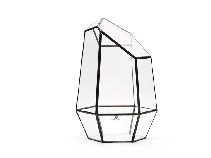 Geometric Terrarium