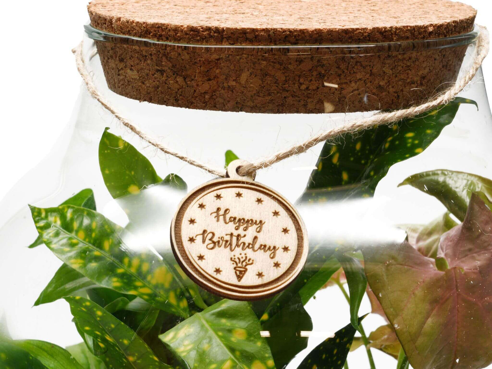 A wooden gift tag with the text Happy Birthday is elegantly displayed on a twine string, hanging from a glass terrarium filled with vibrant green plants. The tag features decorative stars and a small crown design, adding a cheerful touch.