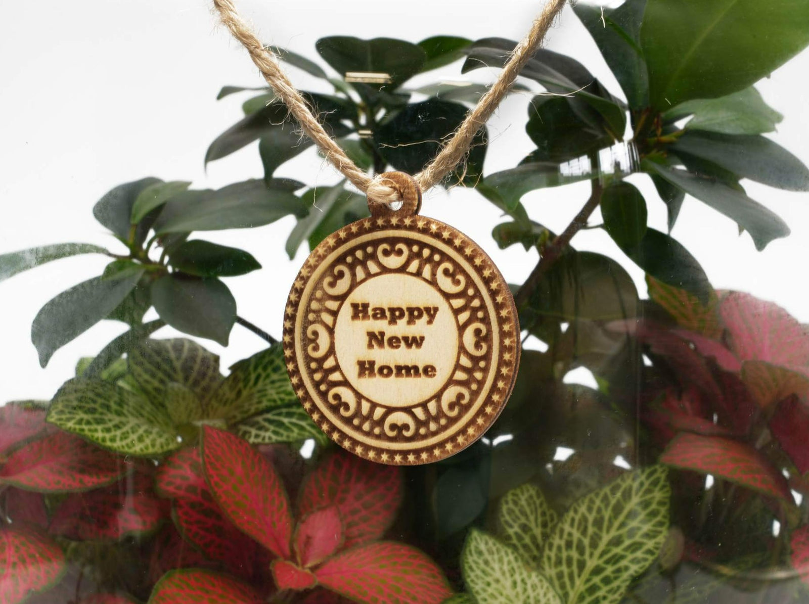 A wooden gift tag with the engraved text Happy New Home is suspended from a twine loop. It is surrounded by vibrant green and red houseplants, creating a warm and inviting atmosphere perfect for celebrating a new living space.