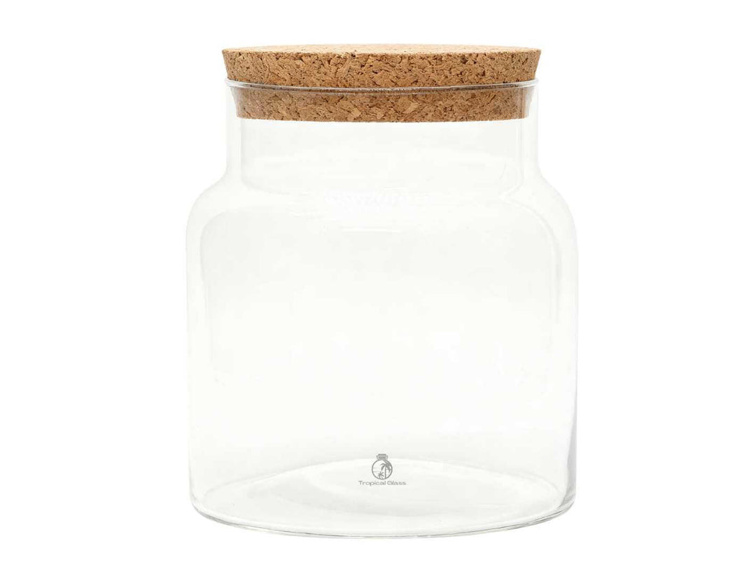 Clear glass terrarium container for closed terrariums and indoor plant displays