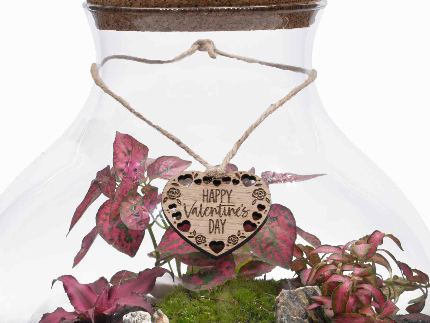 Terrarium for Valentine's Gift