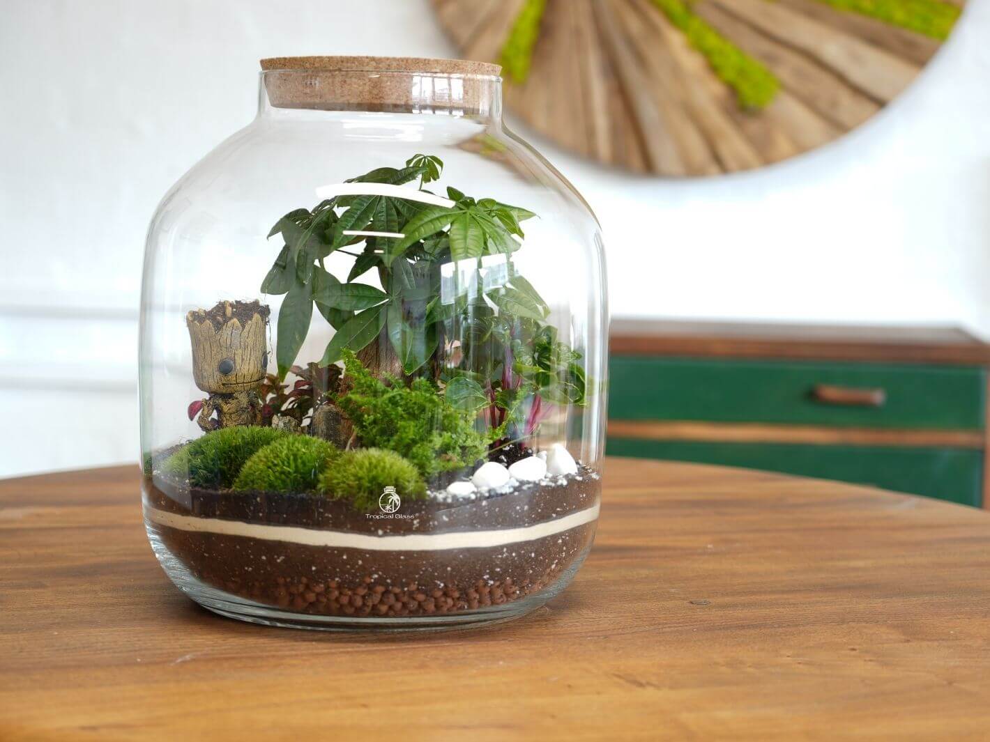 A beautifully arranged closed terrarium featuring a variety of lush green plants, vibrant moss, and decorative stones inside a glass container with a cork lid.