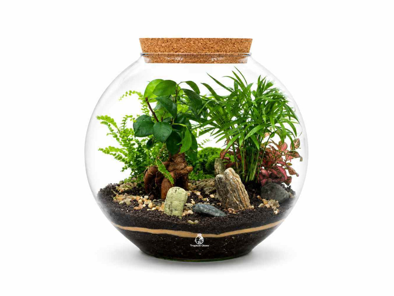 A beautifully arranged DIY terrarium features lush green plants, including ferns and a climbing vine, set in rich soil with decorative stones.