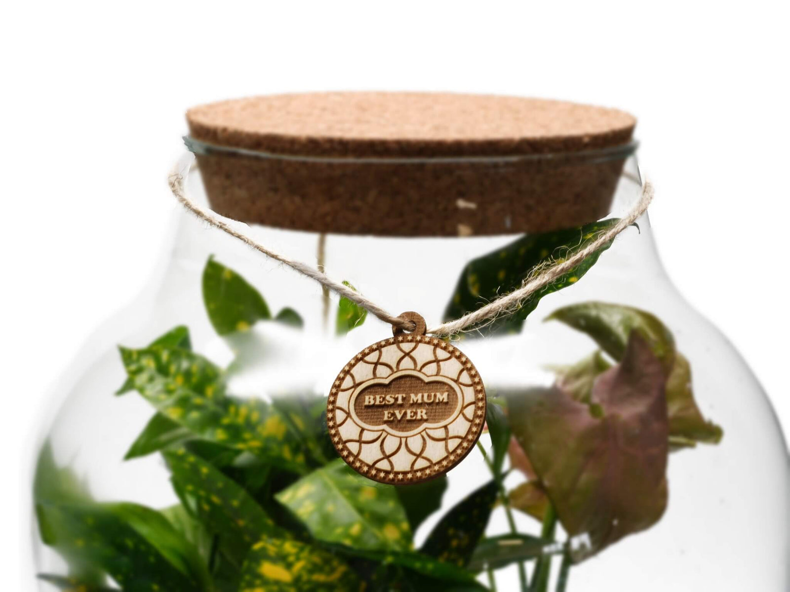 Personalised Terrarium Gift for Mum