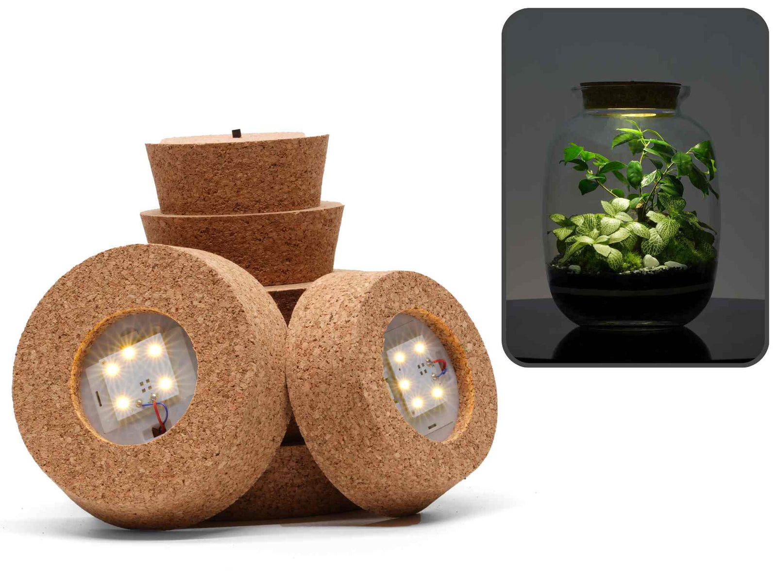 A stack of cork lids is displayed, showcasing their round shape and smooth texture. Next to them is a glass terrarium featuring lush greenery, illuminated by an LED light from the cork lid, enhancing the overall aesthetic.