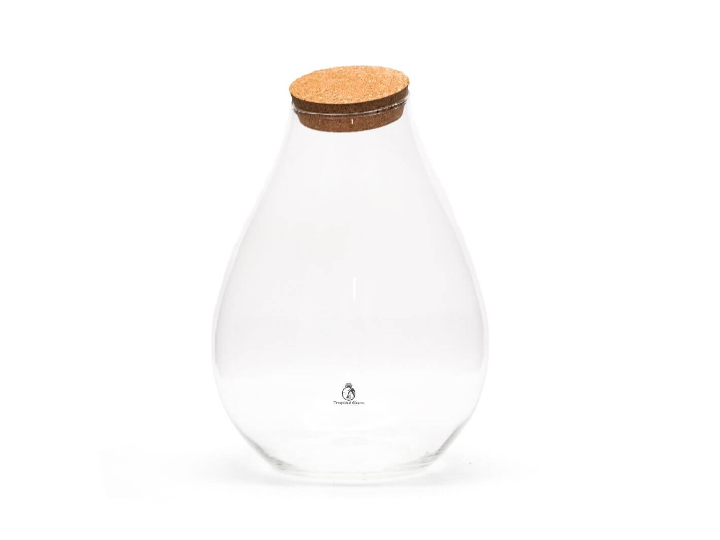 Elegant glass terrarium waiting to be filled