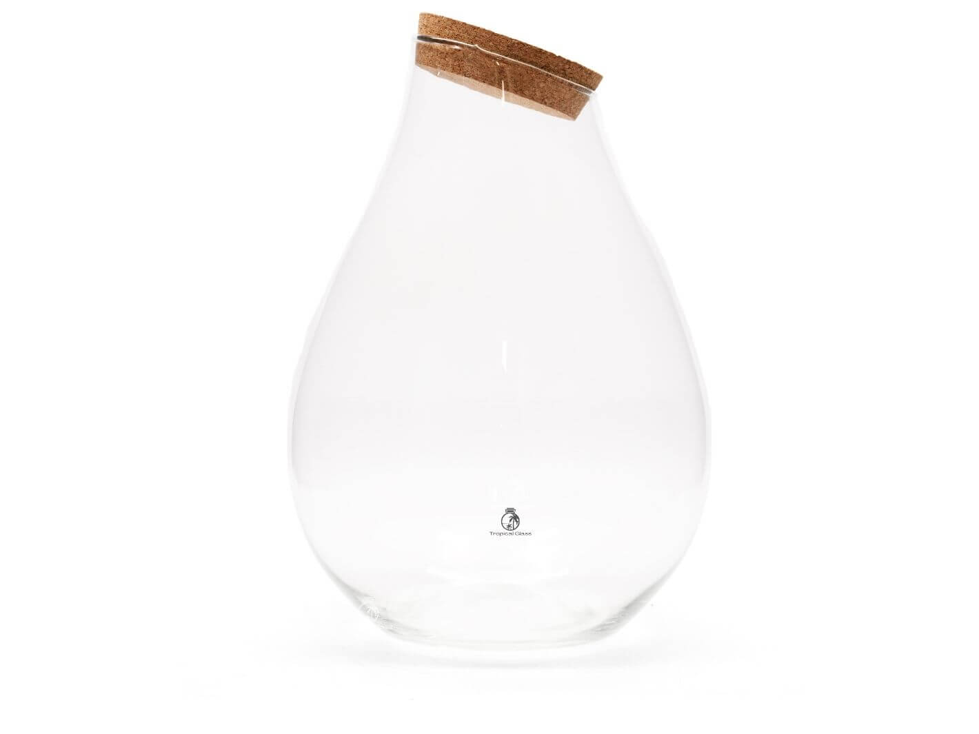 Glass terrarium with lid