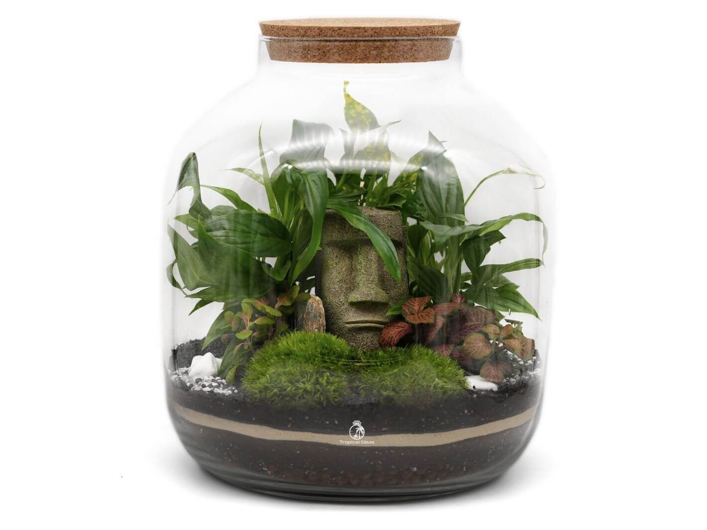 A beautifully arranged closed terrarium featuring lush green plants, including a variety of ferns and moss, set within a clear glass container.