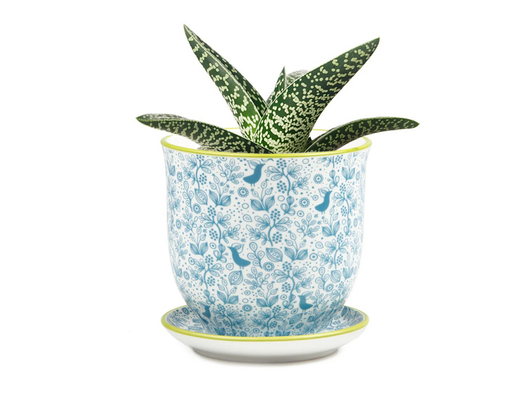 Floral Ceramic Plant Pot - Blue | 10 cm