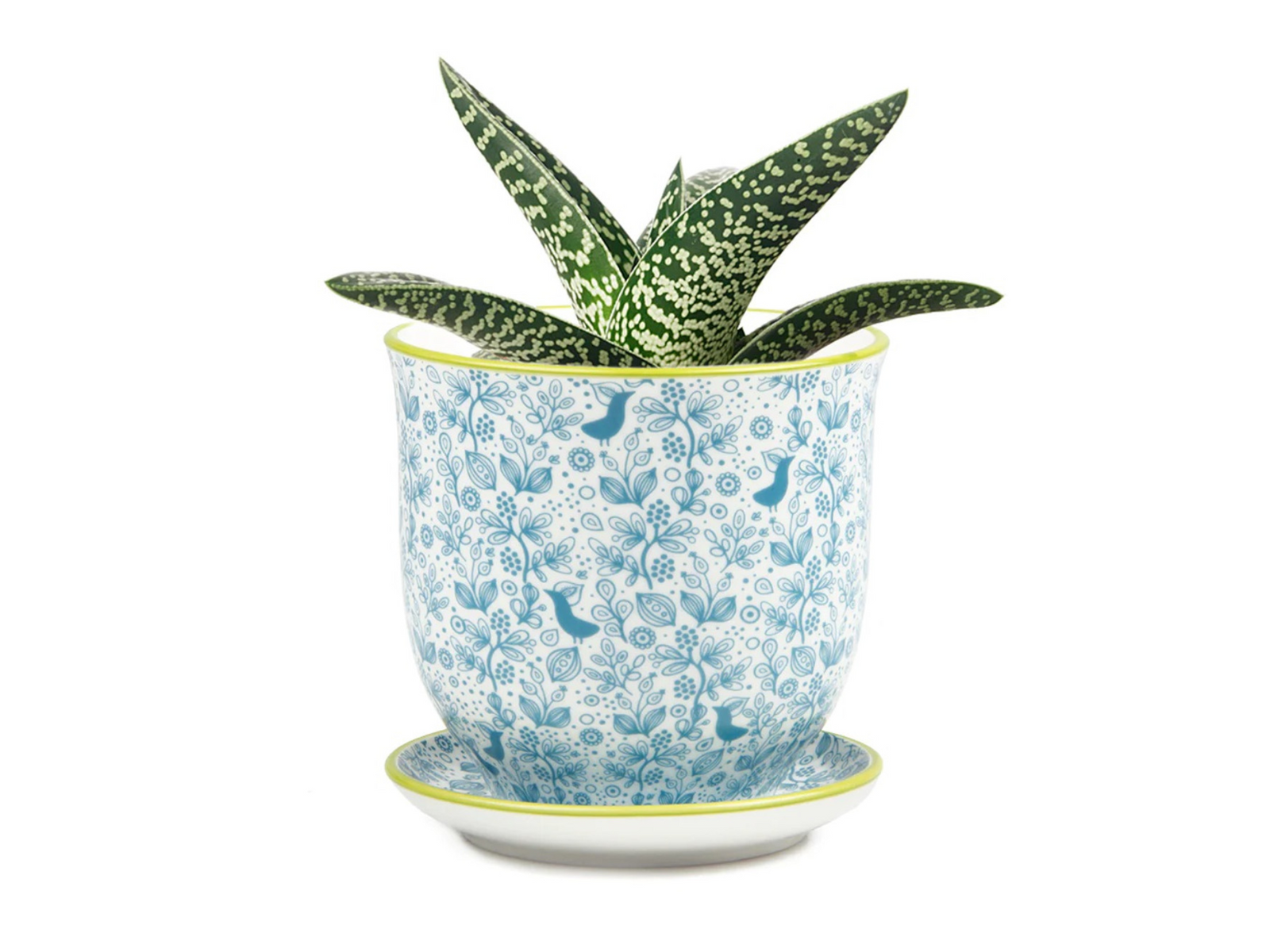 A decorative ceramic plant pot with a glossy white base adorned with intricate blue floral patterns. The pot features a green plant with long, patterned leaves, and sits on a matching saucer, adding a vibrant touch to any space.