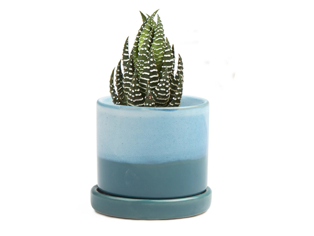 Blue Ceramic Plant Pot | 7 cm