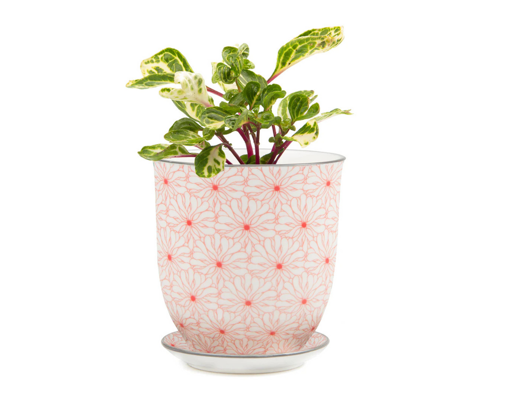 Floral Ceramic Plant Pot - Red | 10 cm