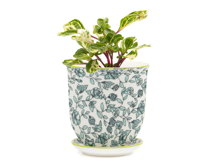 Floral Ceramic Plant Pot - Green | 10 cm