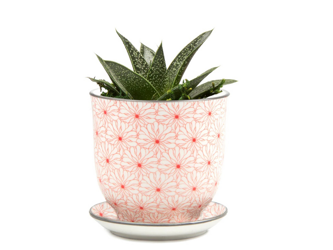 Floral Ceramic Plant Pot - Red | 10 cm