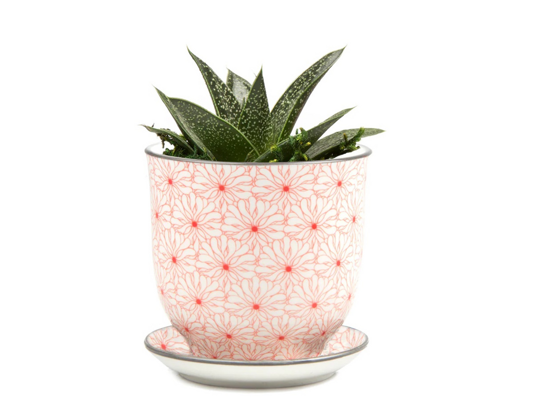 10cm plant pots Red Floral Ceramic Plant Pot
