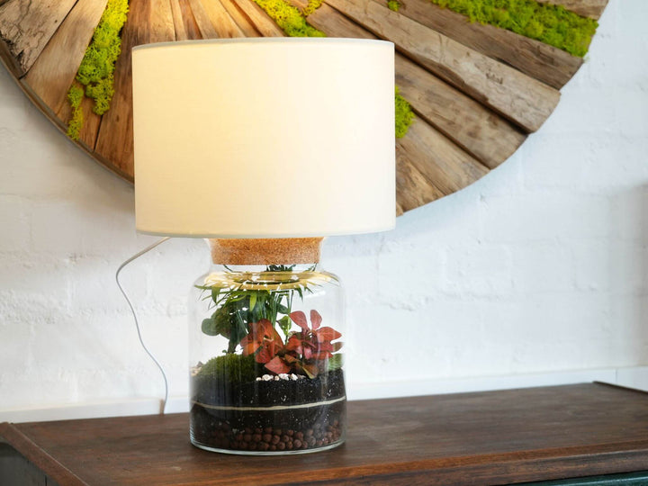 DIY Terrarium Lamp Kit | 'Malaga'