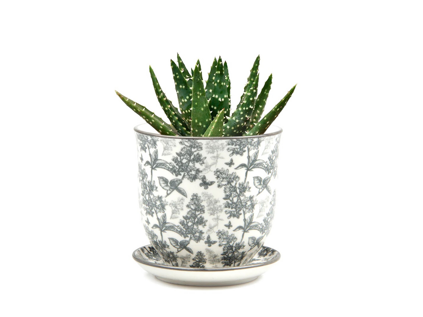 Decorative pot with a glossy finish