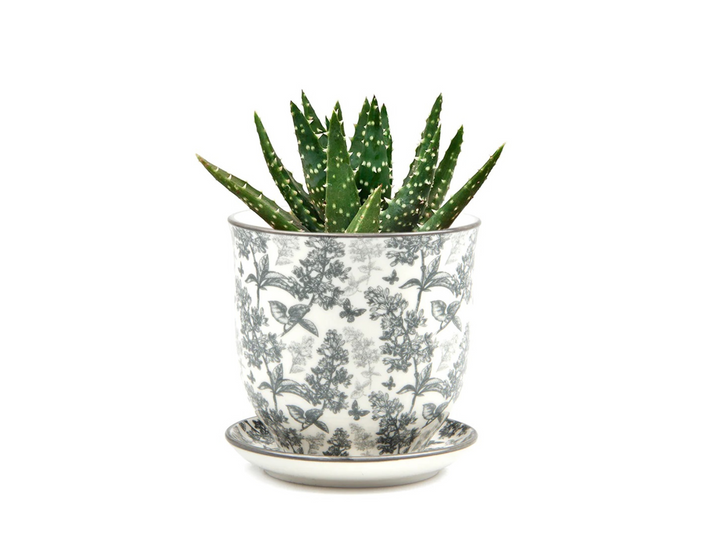 Floral Ceramic Plant Pot - Grey | 10 cm