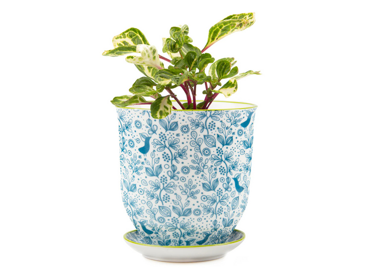 Floral Ceramic Plant Pot - Blue | 10 cm