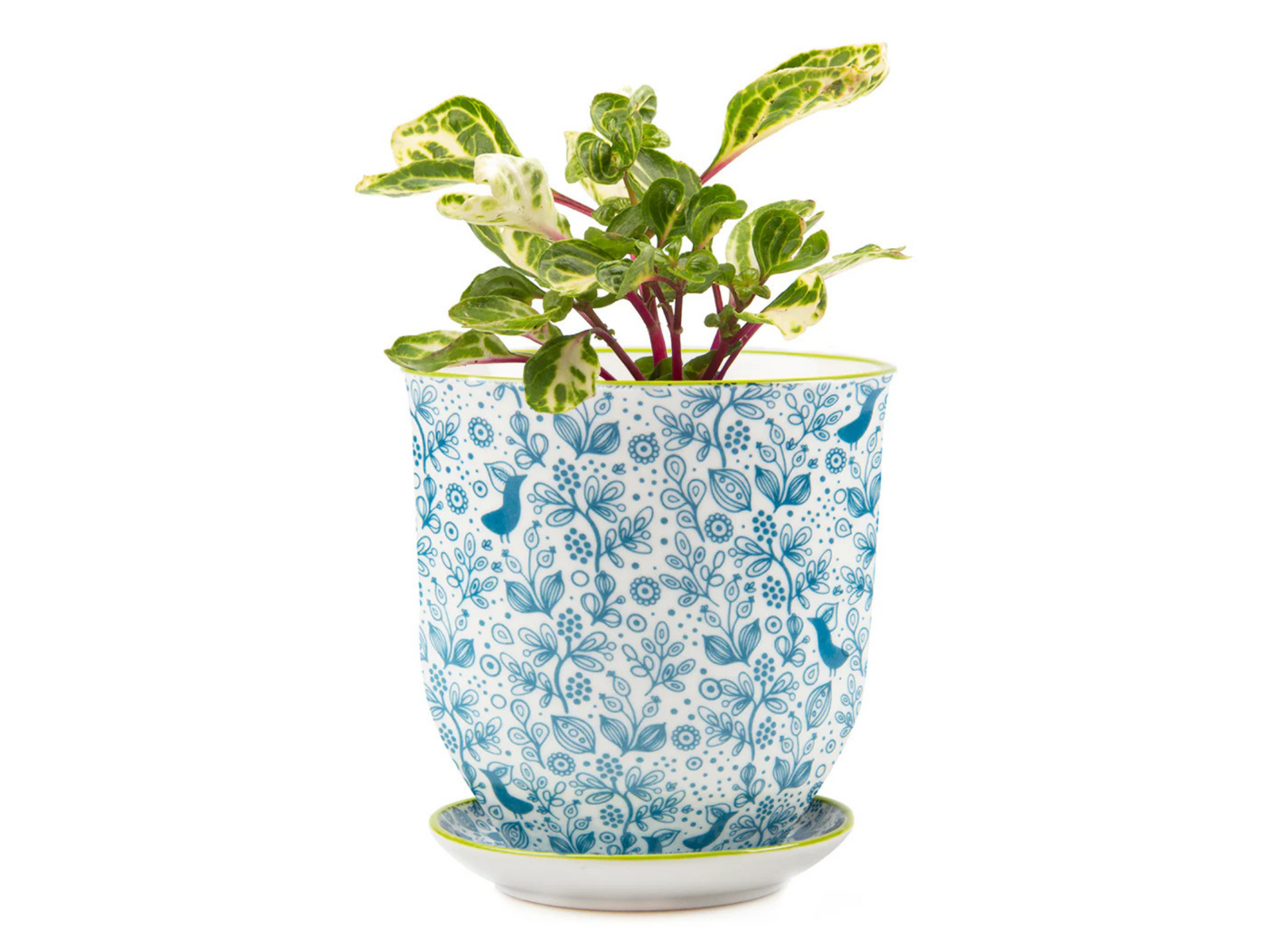 Modern decorative pot for indoor plants
