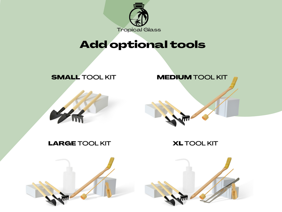 Basic Terrarium Starter Kit - Various sizes