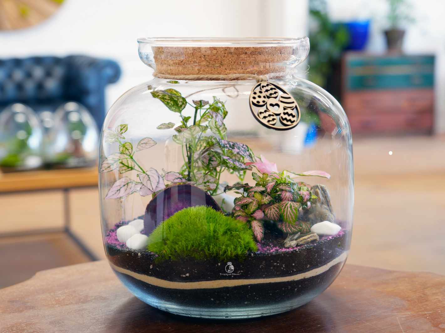 A beautifully arranged glass terrarium features vibrant green plants, including a purple and green foliage specimen, nestled within layers of soil and decorative pebbles.