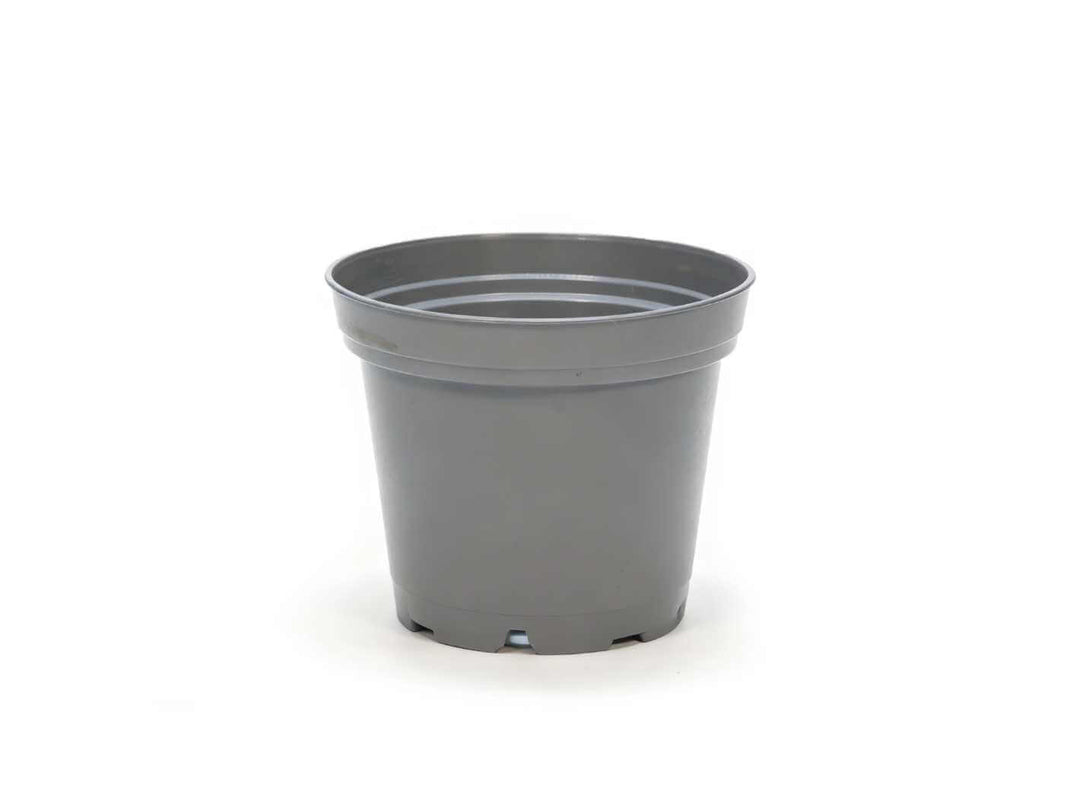 Used medium black plastic nursery pot with drainage holes, suitable for plant propagation and repotting