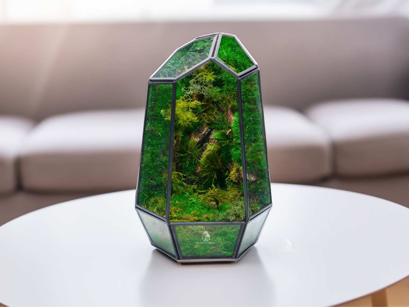 Modern geometric terrarium filled with preserved moss, ideal for gifting.