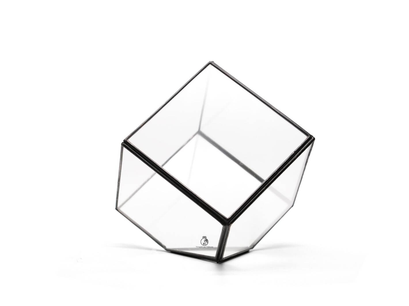 Geometric Terrarium Glass