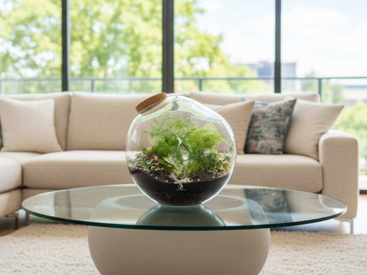 Decorative terrarium kit with live plants and moss for home interiors
