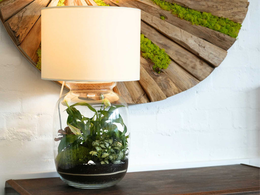 DIY terrarium light