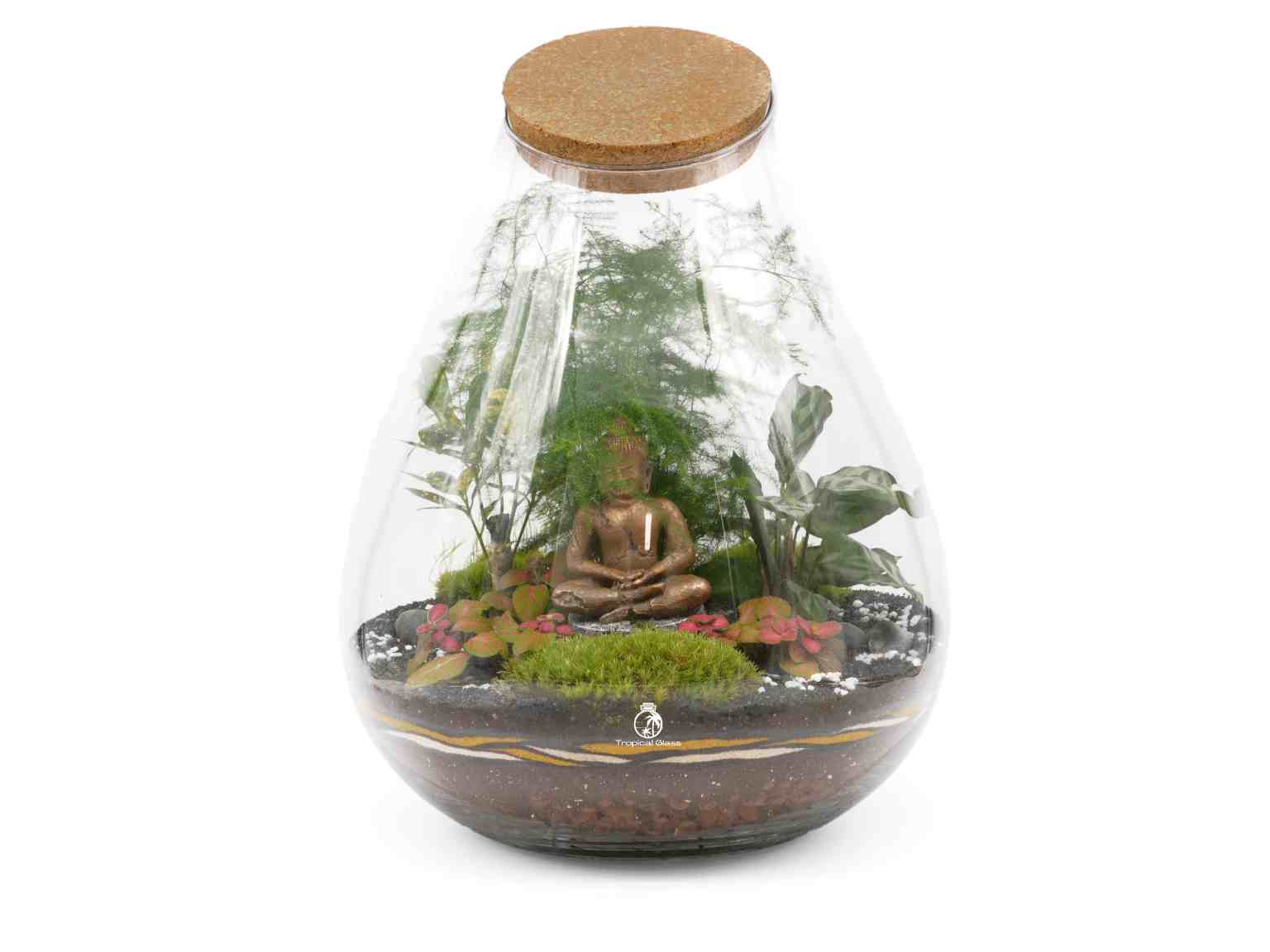 Terrarium in teardrop glass container