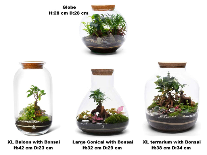 Terrarium Workshop - Saturday, 24 May 2025 | 2:00 pm