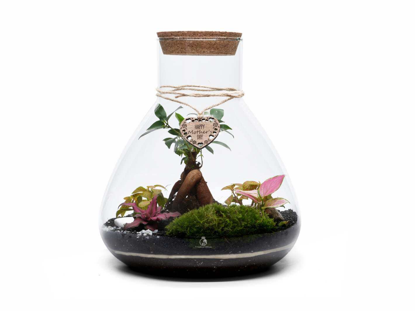 A beautifully crafted DIY terrarium featuring a variety of vibrant plants, including pink and green foliage, set in a glass container with a cork top.
