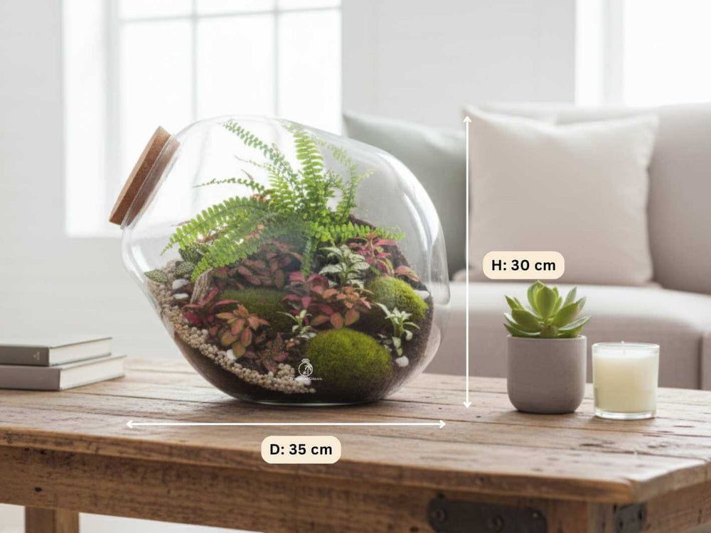Boston Fern and Fittonia plants inside a handmade glass terrarium jar